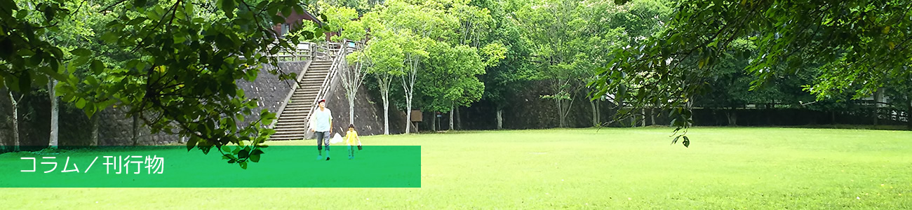 コラム／刊行物